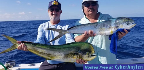 Click to Enlarge Photo