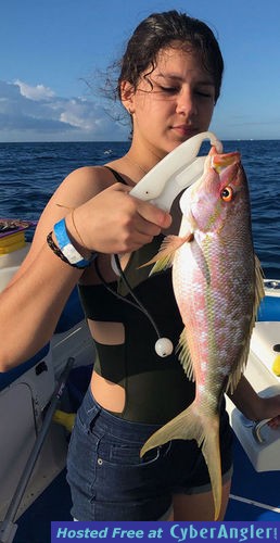 Click to Enlarge Photo