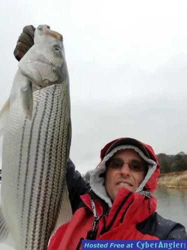 1_winter_striper_on_lake_texoma