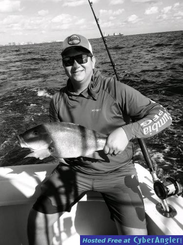 Click to Enlarge Photo