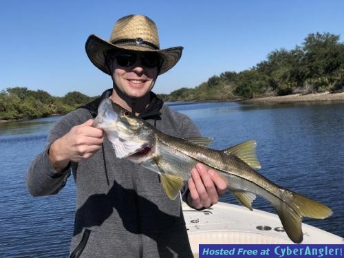 Snook_caught_on_Safety_harbor_fishing_trip