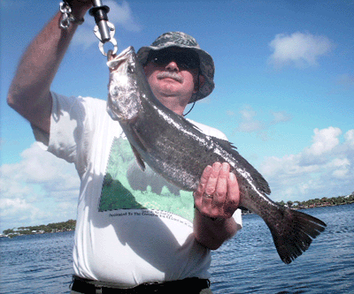www.captdaves.com