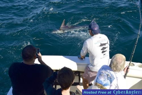 Click to Enlarge Photo