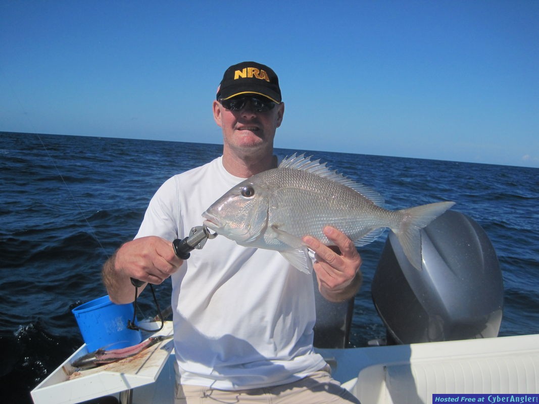 20-inch porgy