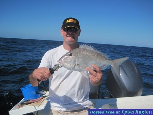 20-inch porgy