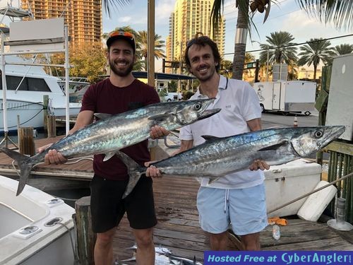 two kingfish