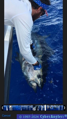 Click to Enlarge Photo