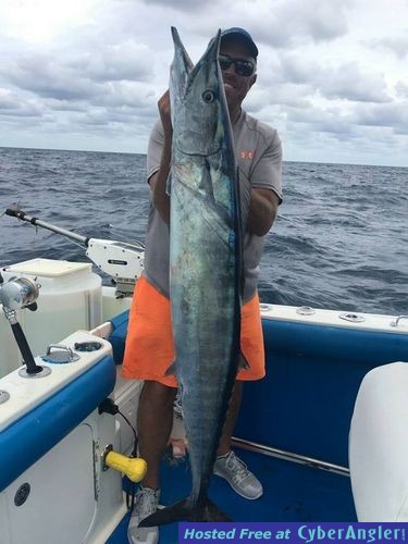 Click to Enlarge Photo