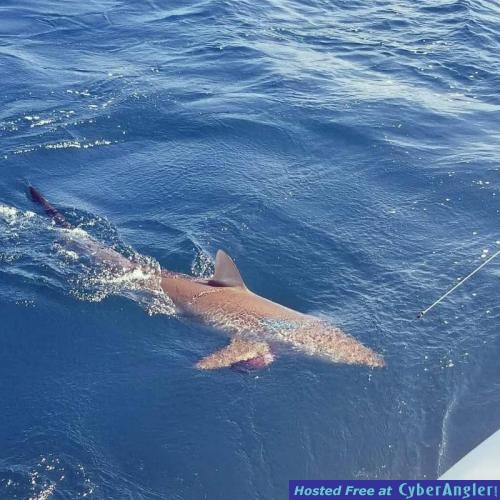 Click to Enlarge Photo