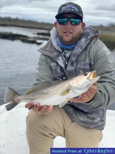 Click to Enlarge Photo