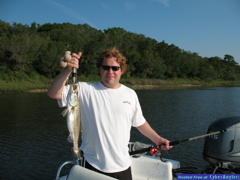 Britttrout