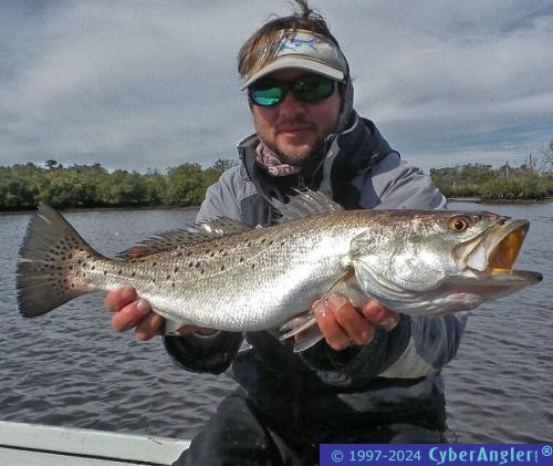 Click to Enlarge Photo