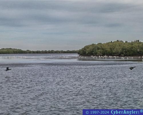 Click to Enlarge Photo