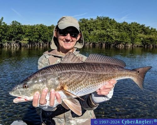 Click to Enlarge Photo