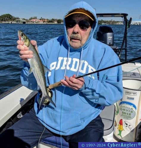 Click to Enlarge Photo