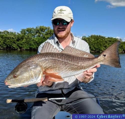 Click to Enlarge Photo