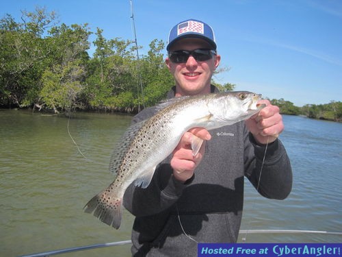 20-inch sea trout