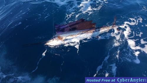 Click to Enlarge Photo