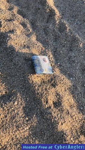 Click to Enlarge Photo