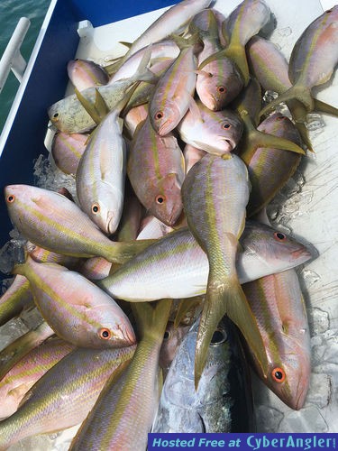 Fishing Key West, FL
