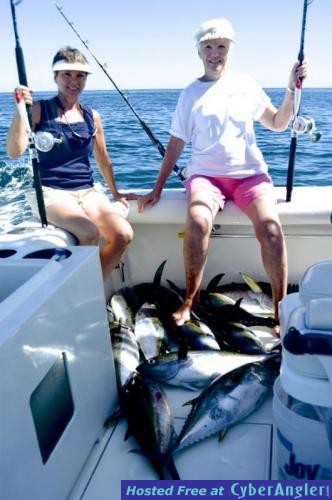 Click to Enlarge Photo