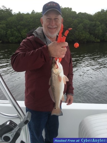 Redfish_caught_in_Terra_Cia_Bay