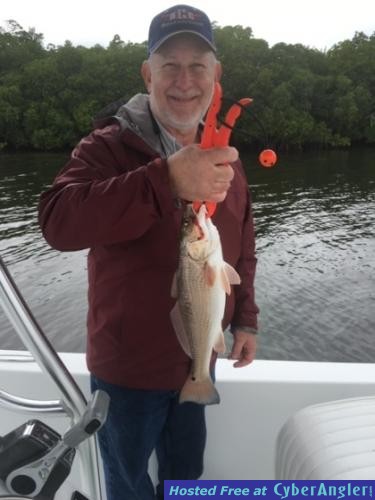 Redfish_caught_in_Terra_Cia_Bay