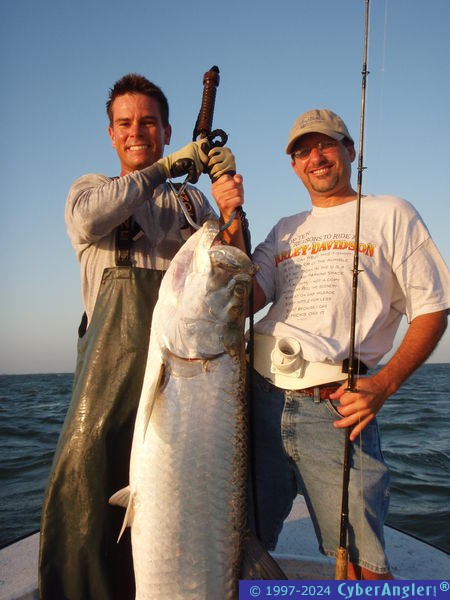 Tampa bay Fall tarpon bite!
