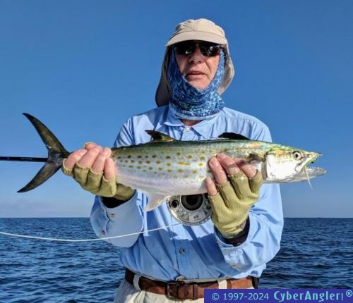 Click to Enlarge Photo