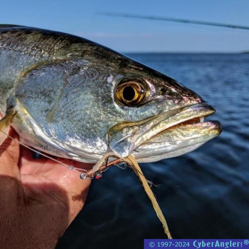 Click to Enlarge Photo