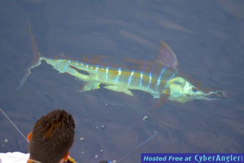 Click to Enlarge Photo