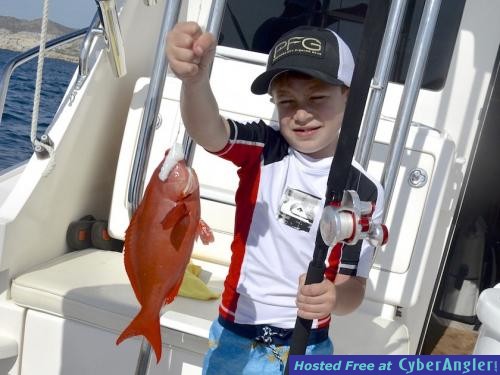 Click to Enlarge Photo