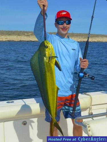 Click to Enlarge Photo