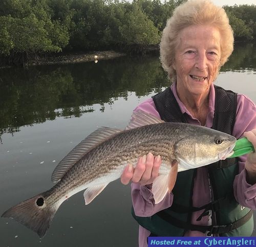 Click to Enlarge Photo