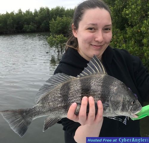 Click to Enlarge Photo