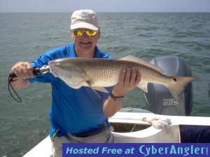 30 inch bull-red