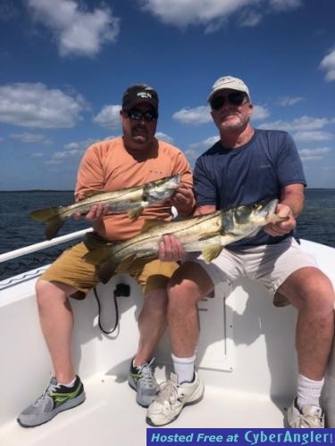 Snook_fishing_Tampa_Bay