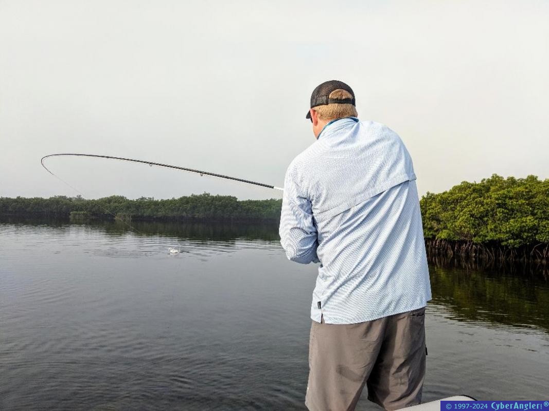 Click to Enlarge Photo