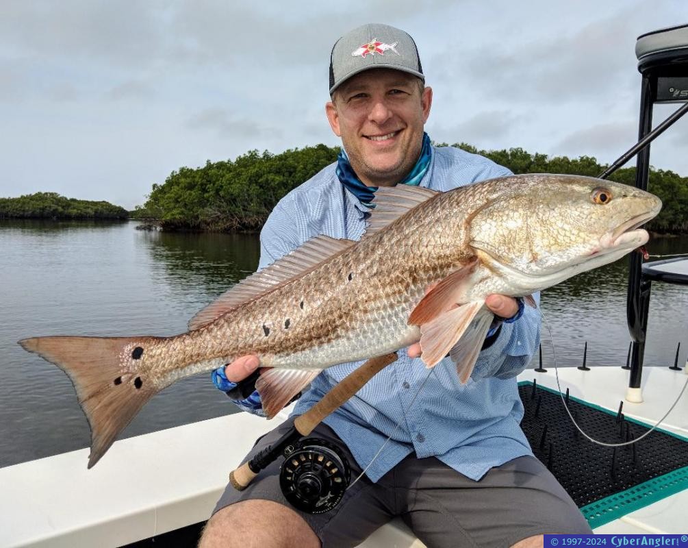 Click to Enlarge Photo