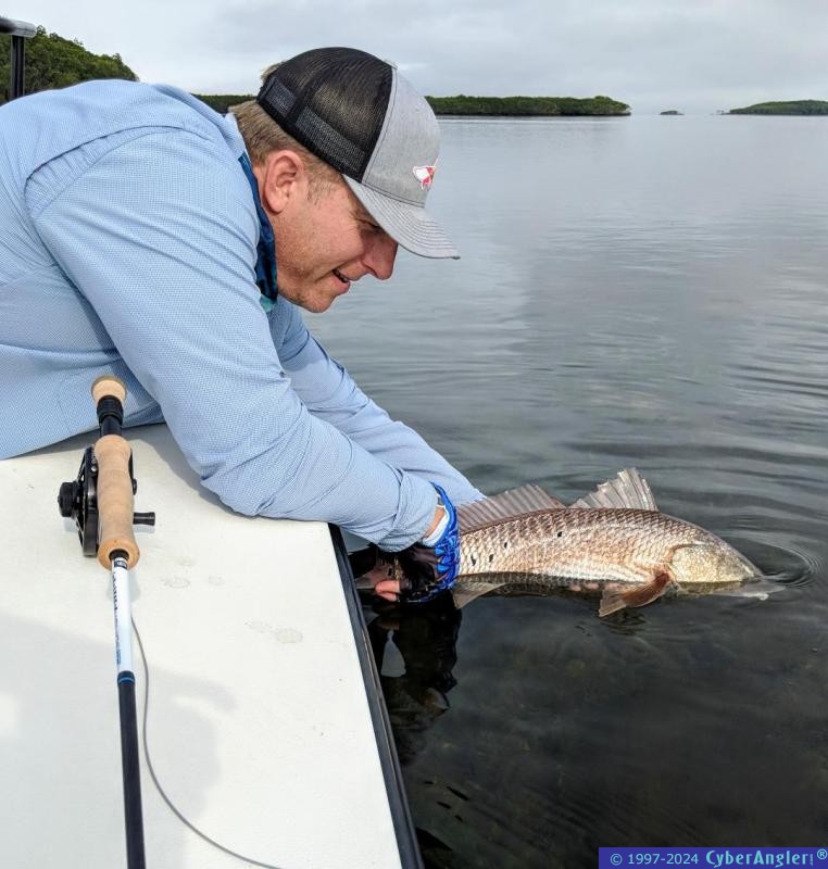 Click to Enlarge Photo