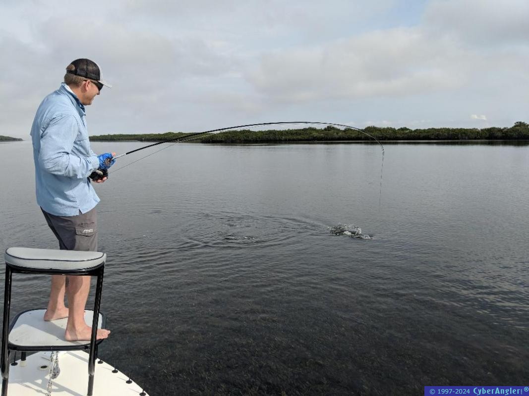 Click to Enlarge Photo