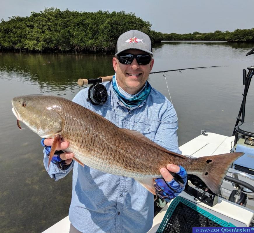 Click to Enlarge Photo