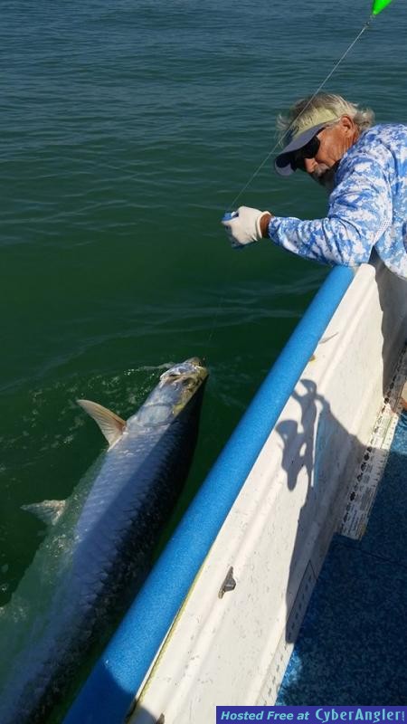 tarpon_100_pounds