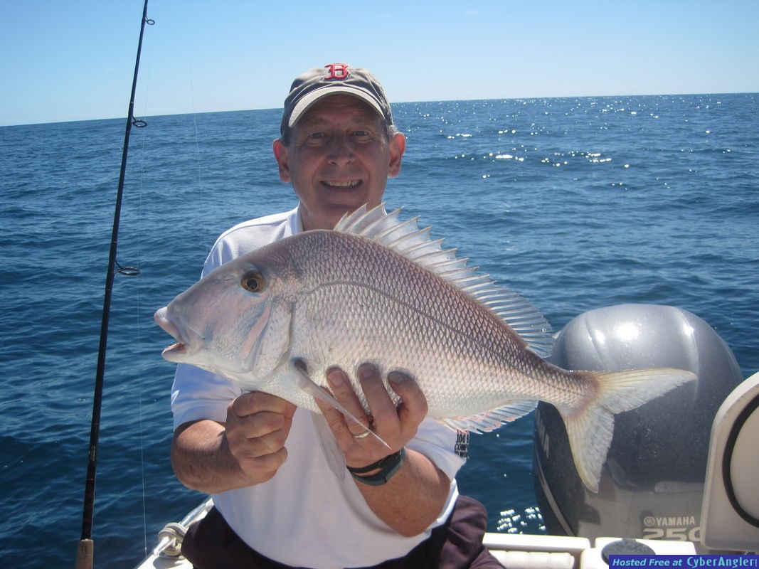 24-inch porgy