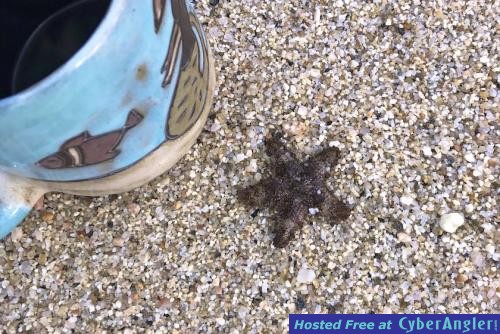 Click to Enlarge Photo