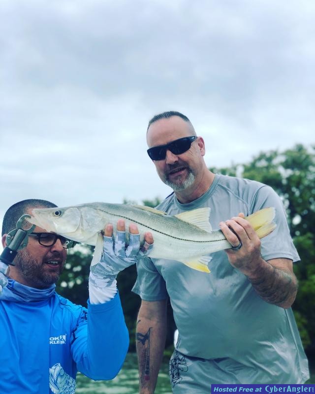 Snook