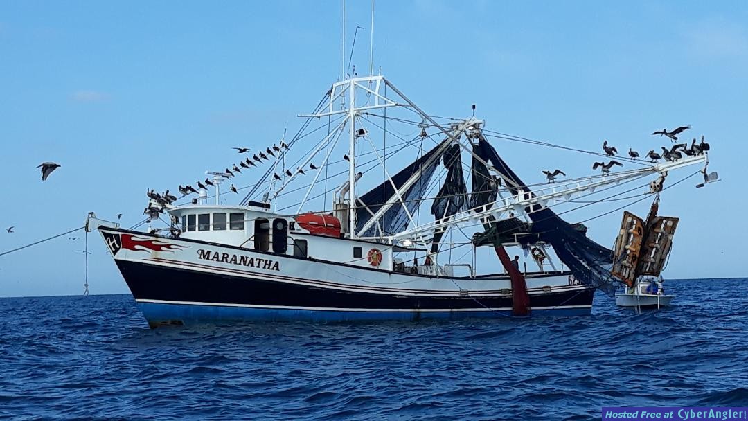 shrimp_boat