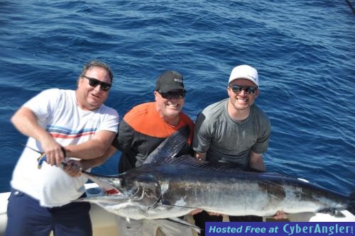 Click to Enlarge Photo