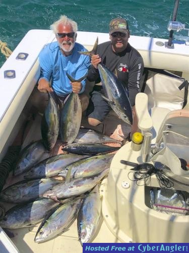 Click to Enlarge Photo