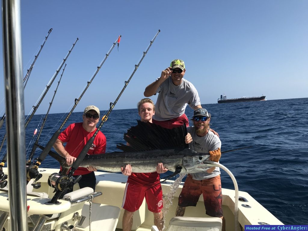 Feb_Sailfish_2_1024x768